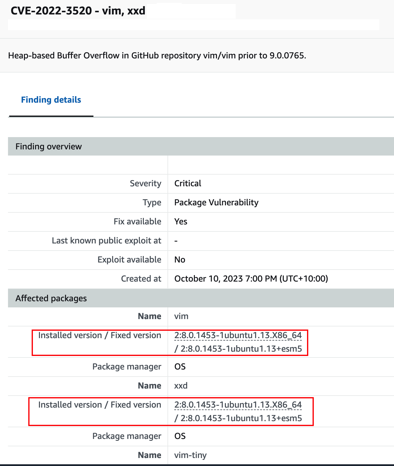 vulnerability detected in a package using a scanner