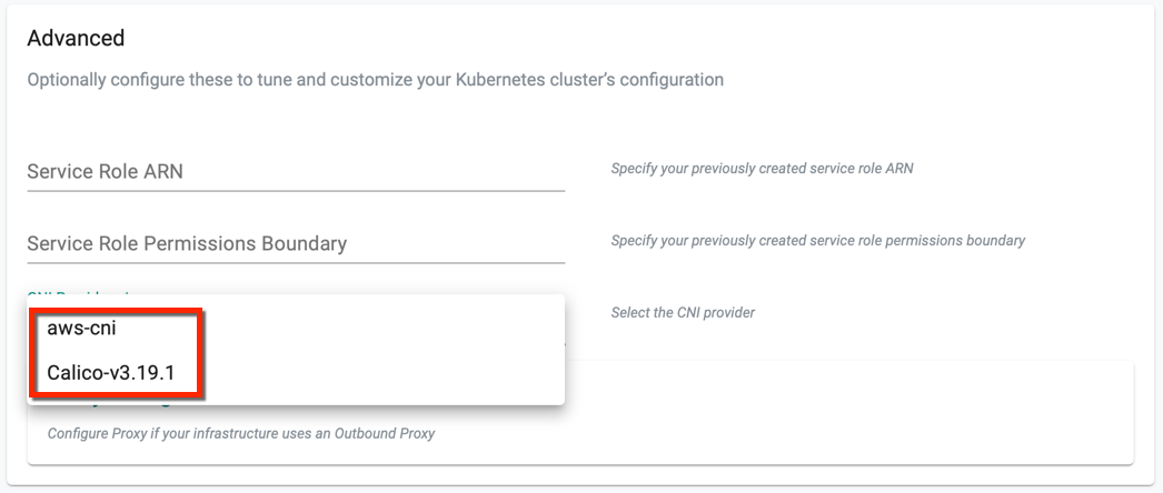 CNI Provider in Controller