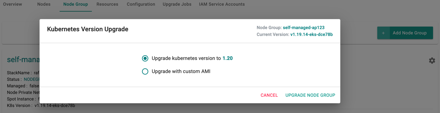 Upgrade Node Group