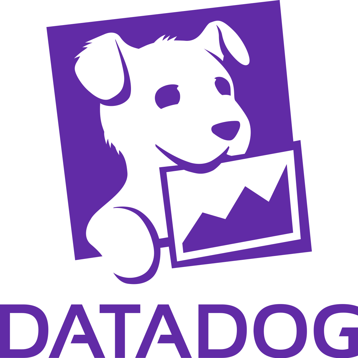 DataDog Agent