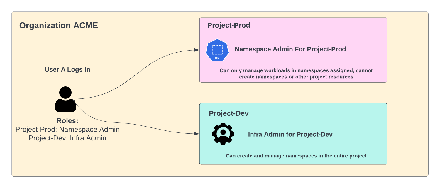 Project Specific Roles